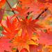 20061021_tanigawatrip_0131